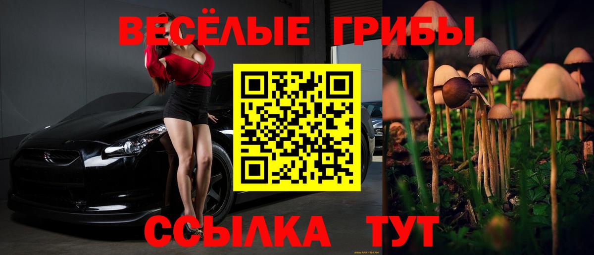 Котлас  Псилоцибиновые грибы Psilocybe  Вход с VPN 